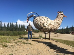 Chicken laying an egg. 